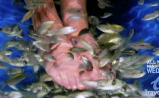 Samantha Brown feet photo thumbnail