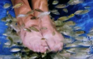 Samantha Brown feet photo thumbnail