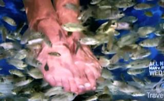 Samantha Brown feet photo thumbnail
