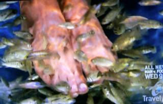 Samantha Brown feet photo thumbnail