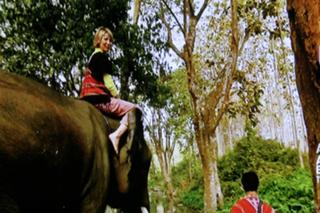 Samantha Brown feet photo thumbnail