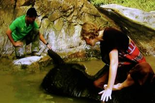 Samantha Brown feet photo thumbnail