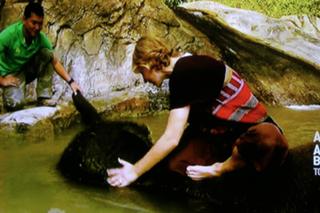 Samantha Brown feet photo thumbnail