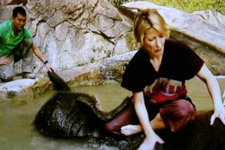 Samantha Brown feet photo thumbnail