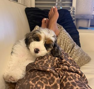 Samantha Busch feet photo 5