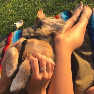 Samantha Droke feet photo 11