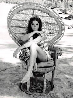 Samantha Eggar feet photo 12