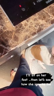 Samantha Ruth Prabhu feet photo thumbnail