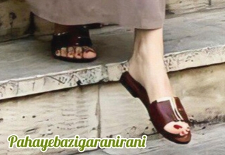 Samira Hassanpour feet photo 1