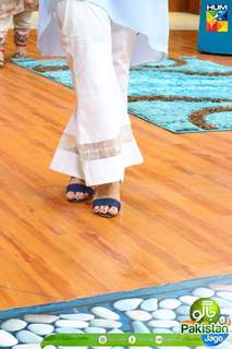Sanam Jung feet photo 3