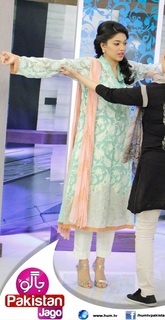 Sanam Jung feet photo 9