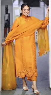 Sanam Jung feet photo 18