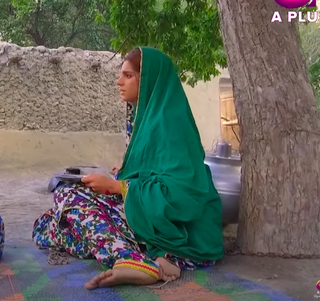 Sanam Saeed feet photo 20