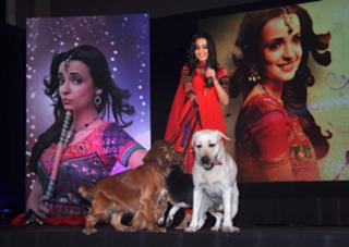 Sanaya Irani feet photo thumbnail