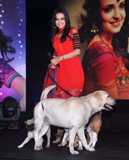 Sanaya Irani feet photo thumbnail