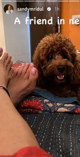 Sandhya Mridul feet photo 16