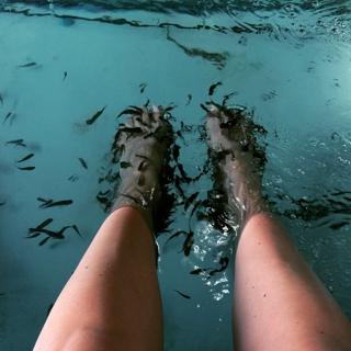 Sandra Echeverría feet photo thumbnail