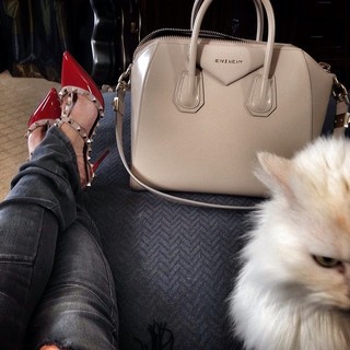 Sandra Lee feet photo 3