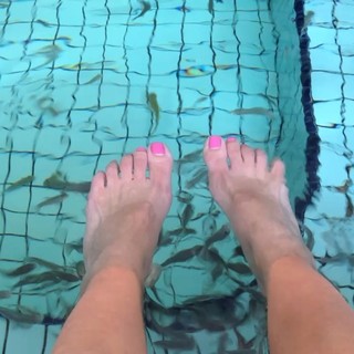Sandra Lee feet photo 3