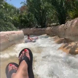 Sandra Lee feet photo 4