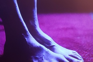 Sandrine Holt feet photo 13