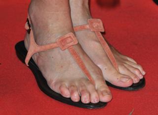 Sandrine Kiberlain feet photo 17