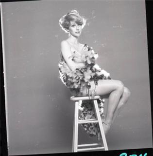 Sandy Duncan feet photo 17