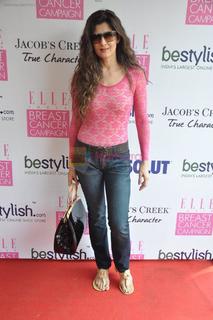 Sangeeta Bijlani feet photo 1