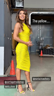 Sangita Patel feet photo 8