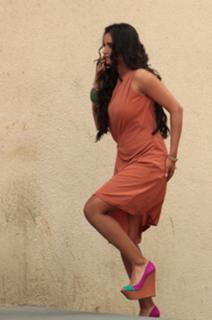 Sania Mirza feet photo 10