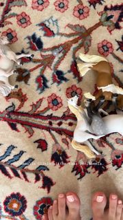 Sanna Marin feet photo thumbnail