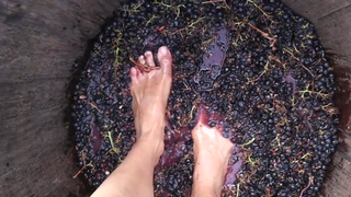 Sanne Vloet feet photo 4