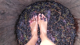 Sanne Vloet feet photo 3