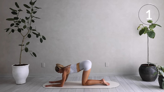 Sanne Vloet feet photo 18