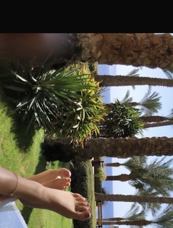 Sara Abi Kanaan feet photo 14
