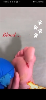 Sara Cardin feet photo 9