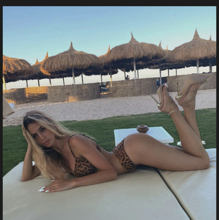 Sara Damnjanovic feet photo 19