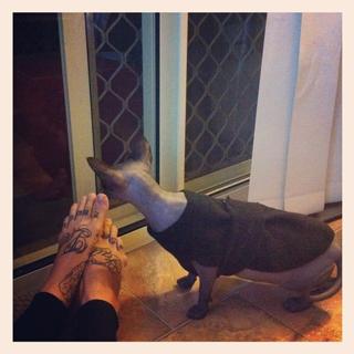 Sara Fabel feet photo 20