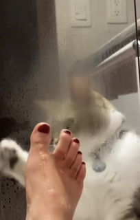 Sara Maldonado feet photo 9