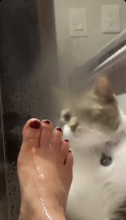 Sara Maldonado feet photo 8