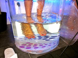 Sara Montazami feet photo 19