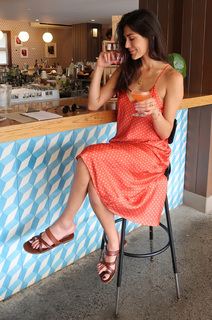 Sara Montazami feet photo 10