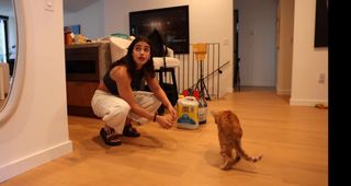 Sara Saffari feet photo thumbnail