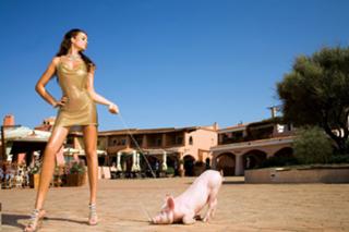 Sara Tommasi feet photo thumbnail