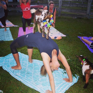 Sara Walsh feet photo thumbnail