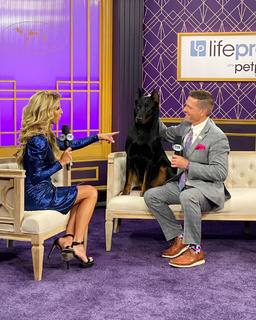 Sara Walsh feet photo thumbnail