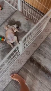 Sara Walsh feet photo thumbnail