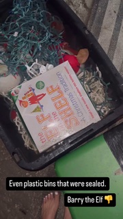 Sara Walsh feet photo thumbnail