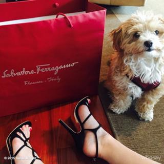 Sarah Bolger feet photo thumbnail