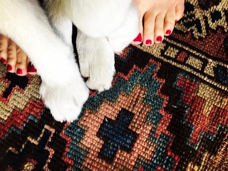 Sarah Butler feet photo thumbnail